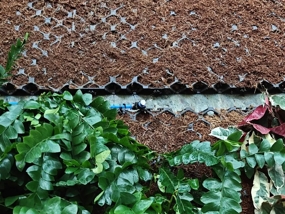 Plants set into the GridMats cells, 8 December