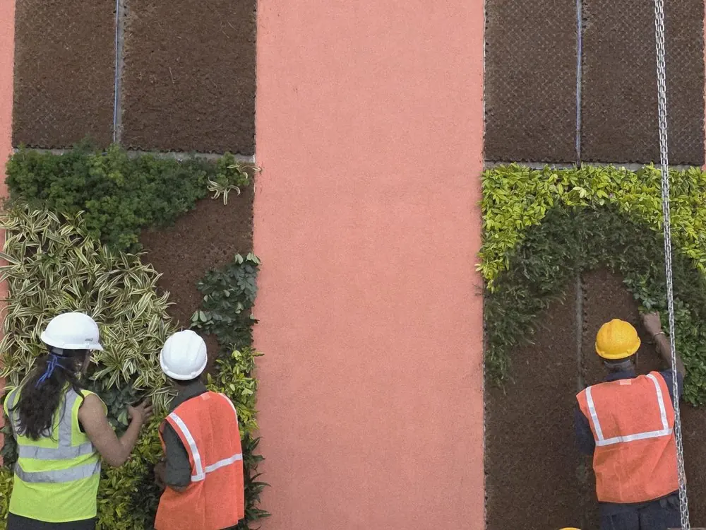 The Godrej Horticulture team planting the panels, 9 December