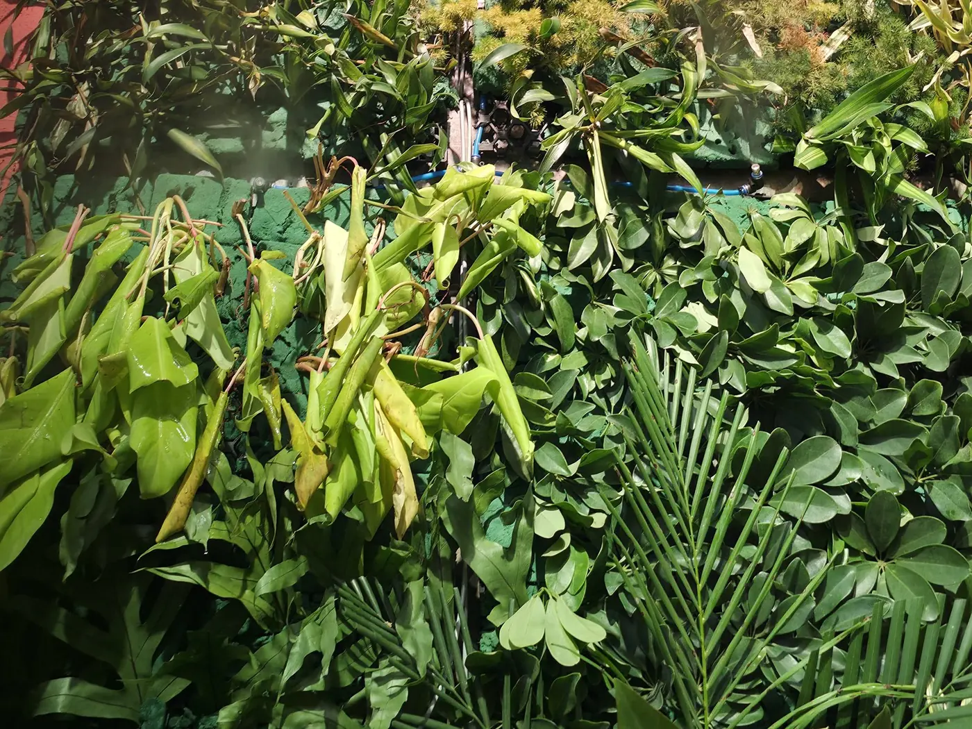 Layered planting on the GridMats panels, 13 December 2025